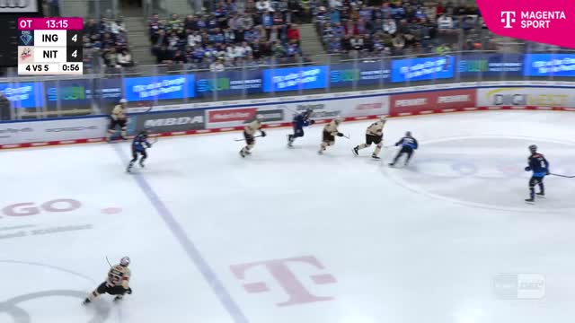 Highlights