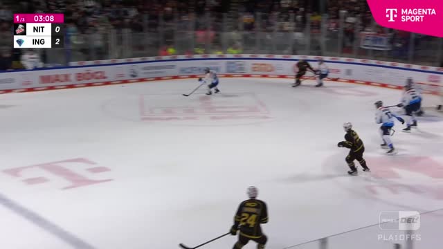 Highlights